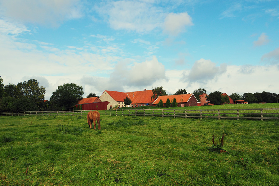 Idylle im Münsterland - Travelisto - Reisen mit Kindern