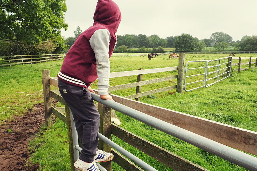 Münsterland - Travelisto - Reisen mit Kindern