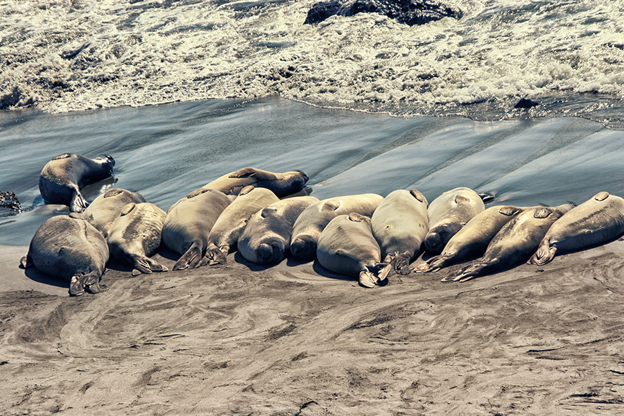 Big Sur Kalifornien USA