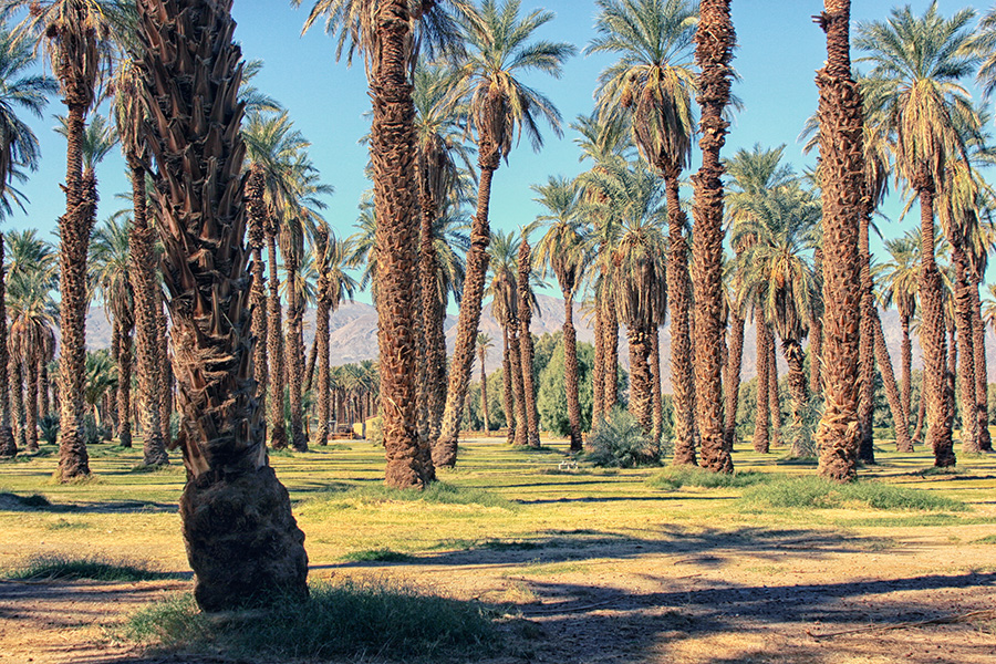 Death Valley USA Kalifornien
